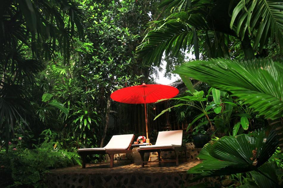 Rain Forest Resort Ban Pak Yang Εξωτερικό φωτογραφία
